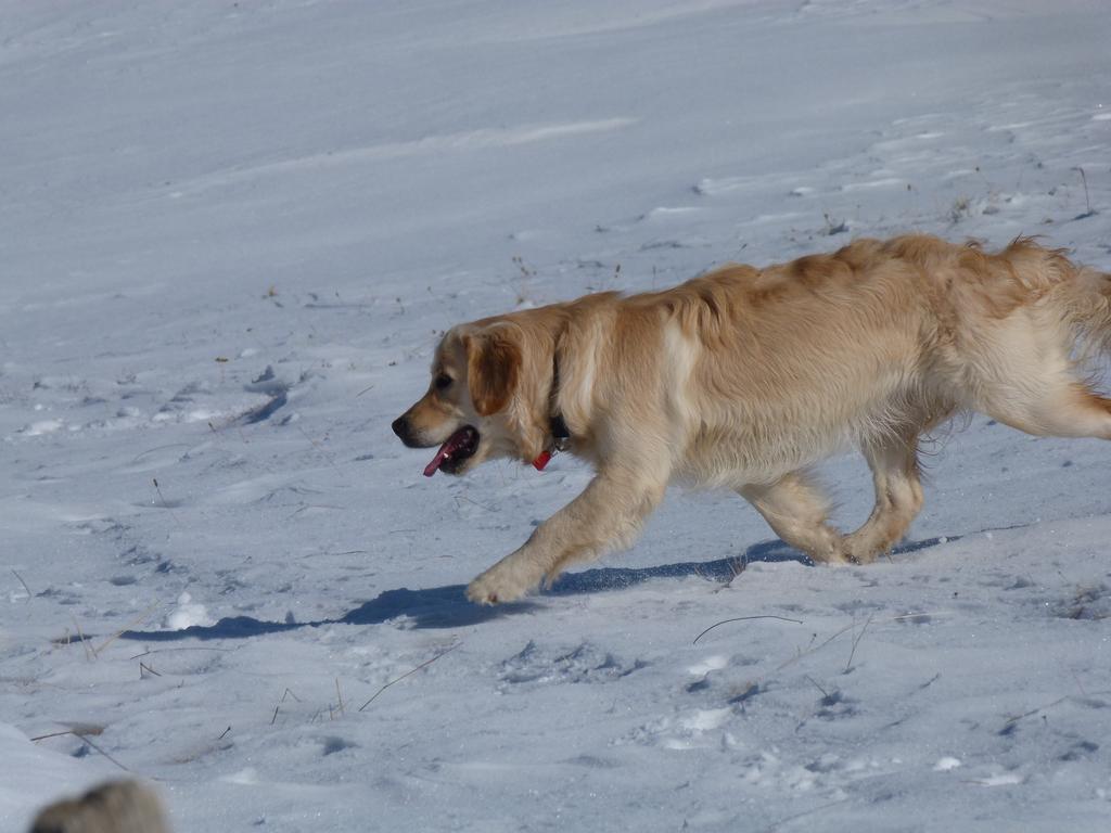 Clic pour l'image suivante