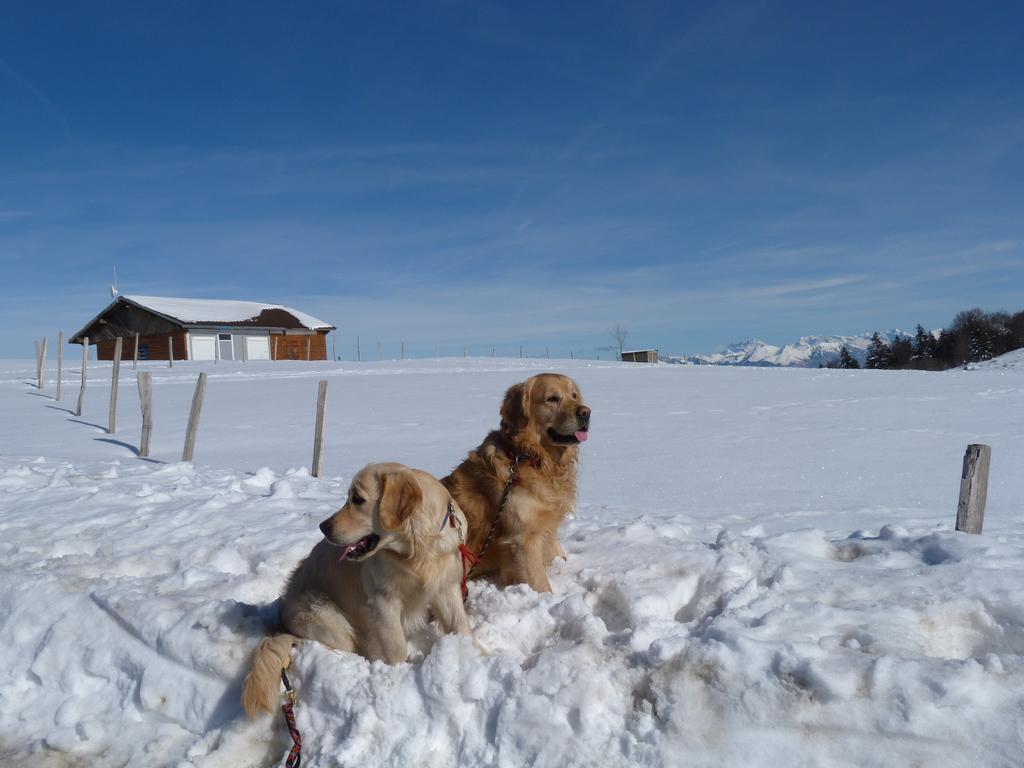 Clic pour l'image suivante