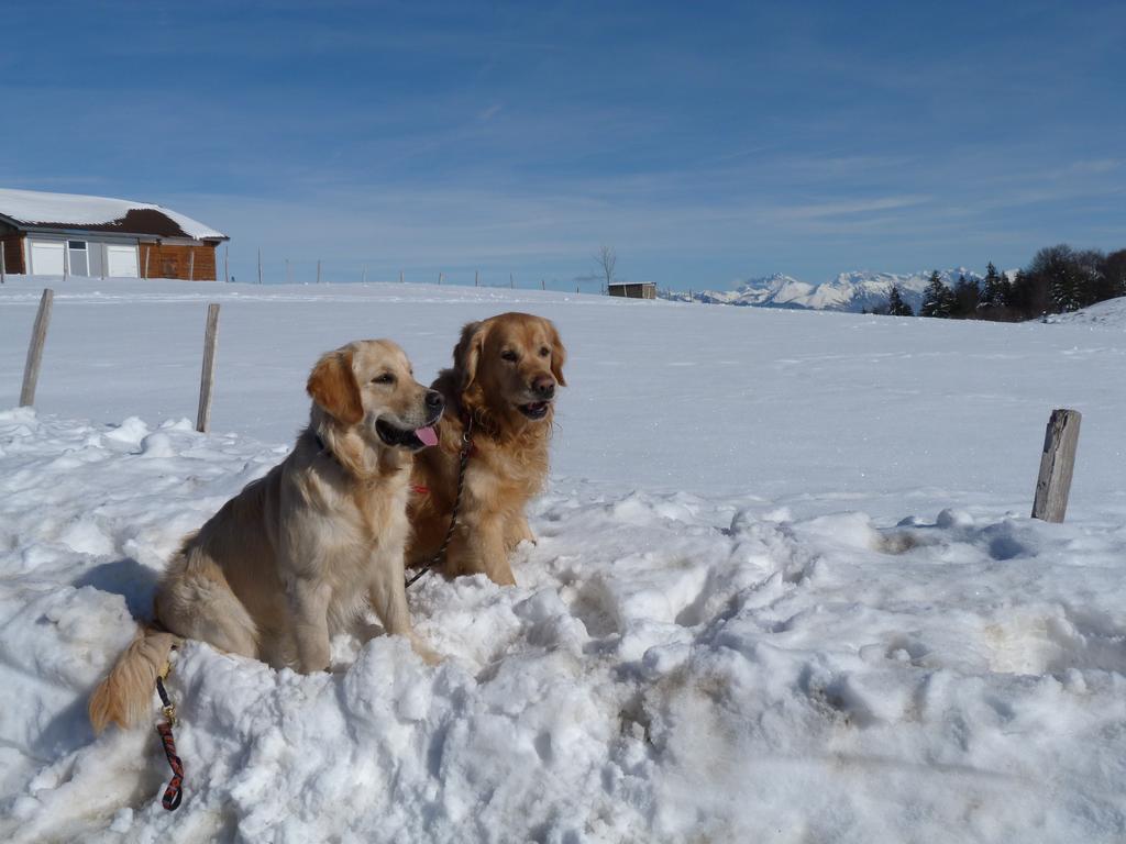 Clic pour l'image suivante