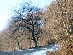 Clic pour agrandir l'image (1024x768 pixels; 272 KB)