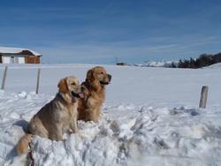 Clic pour agrandir l'image (1024x768 pixels; 74 KB)