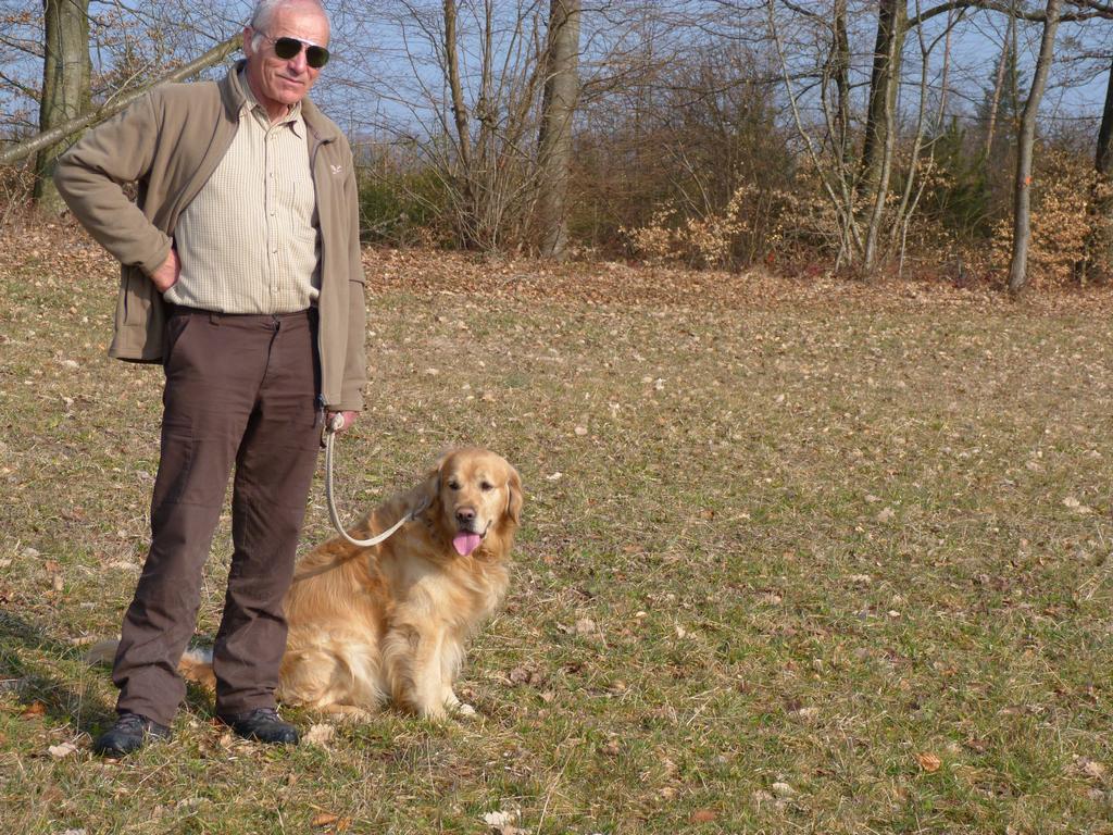 Clic pour l'image suivante