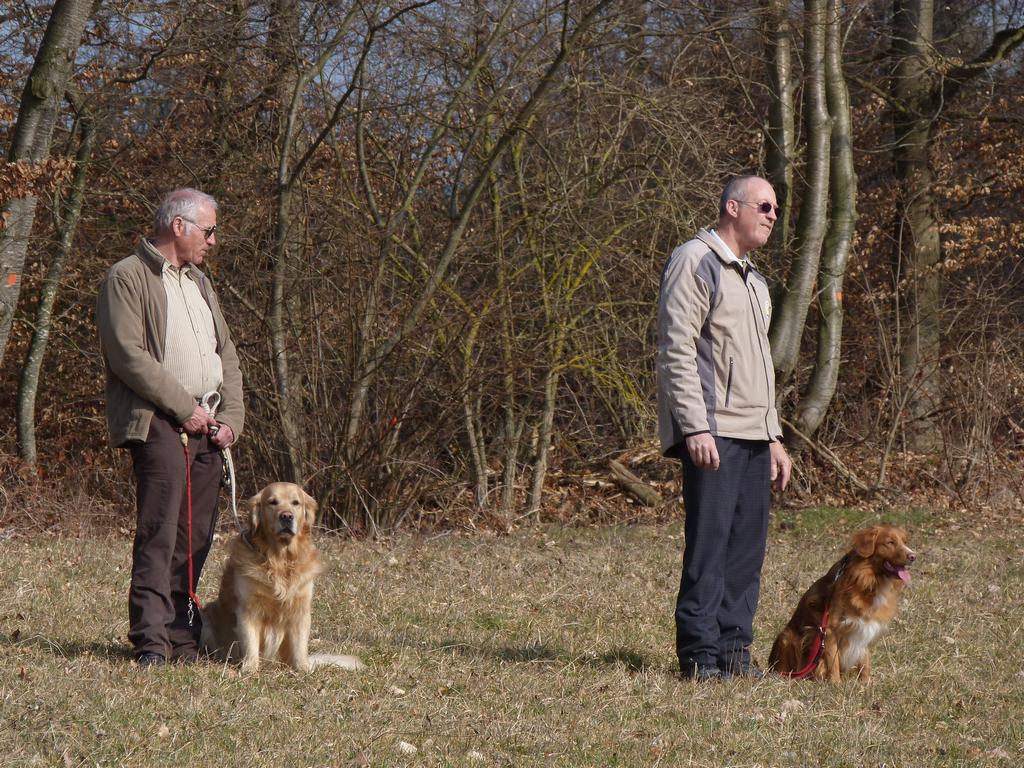 Clic pour l'image suivante