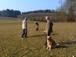 Clic pour agrandir l'image (1024x768 pixels; 146 KB)