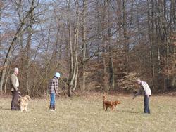 Clic pour agrandir l'image (1024x768 pixels; 249 KB)