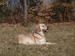 Clic pour agrandir l'image (1024x768 pixels; 167 KB)