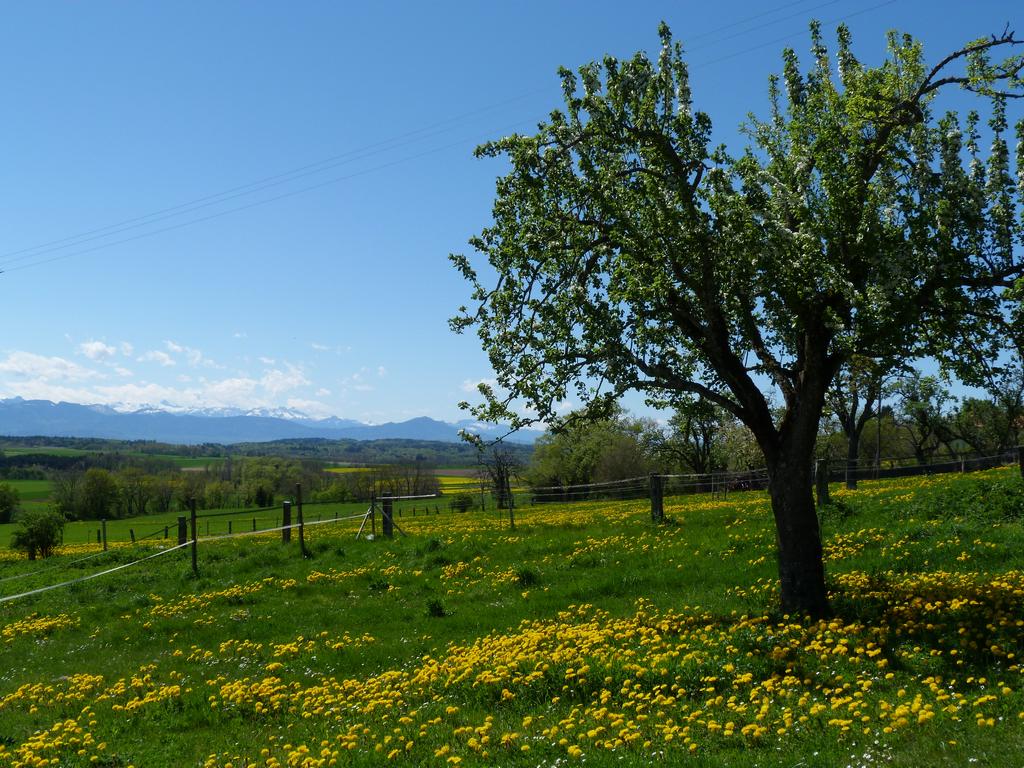 Clic pour l'image suivante