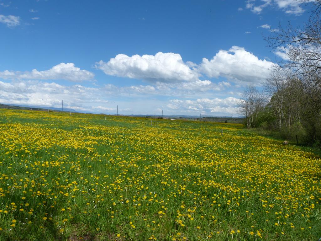 Clic pour l'image suivante