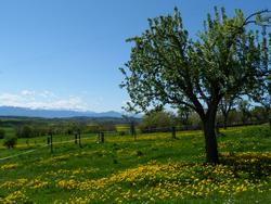 Clic pour agrandir l'image (1024x768 pixels; 178 KB)