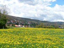 Clic pour agrandir l'image (1024x768 pixels; 179 KB)