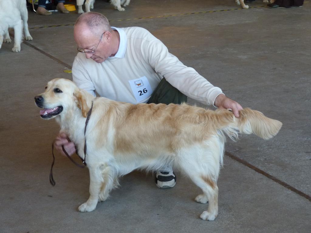 Clic pour l'image suivante