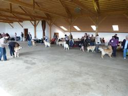 Clic pour agrandir l'image (1024x768 pixels; 110 KB)