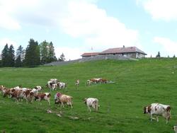 Clic pour agrandir l'image (1024x768 pixels; 107 KB)