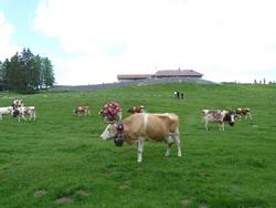 Clic pour agrandir l'image (1024x768 pixels; 107 KB)