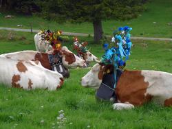 Clic pour agrandir l'image (1024x768 pixels; 132 KB)