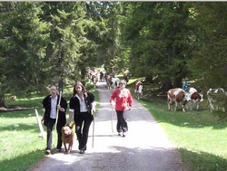 Clic pour agrandir l'image (1015x768 pixels; 1864 KB)