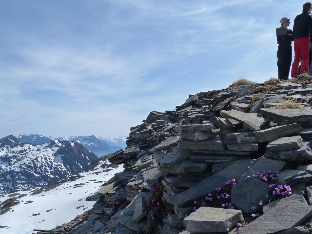 Clic pour l'image suivante