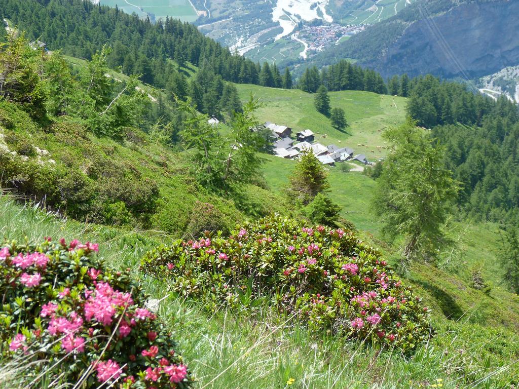 Click to see next picture