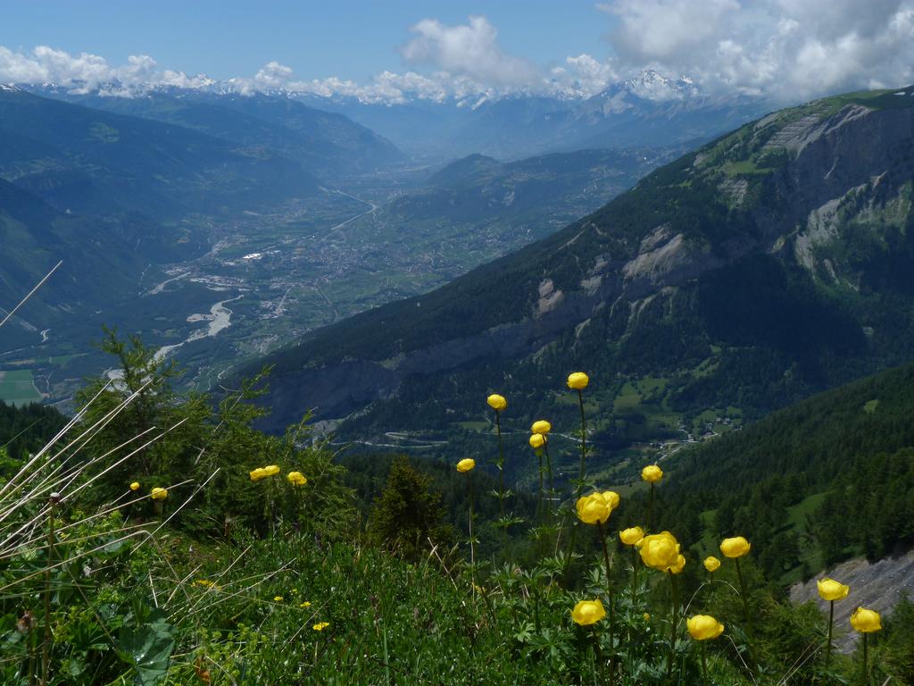 Click to see next picture