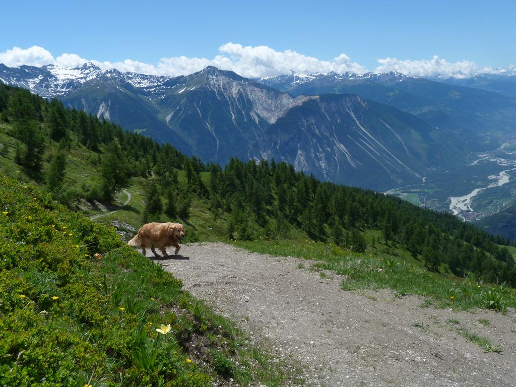 Click to see next picture