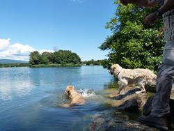 Clic pour agrandir l'image (1024x768 pixels; 126 KB)