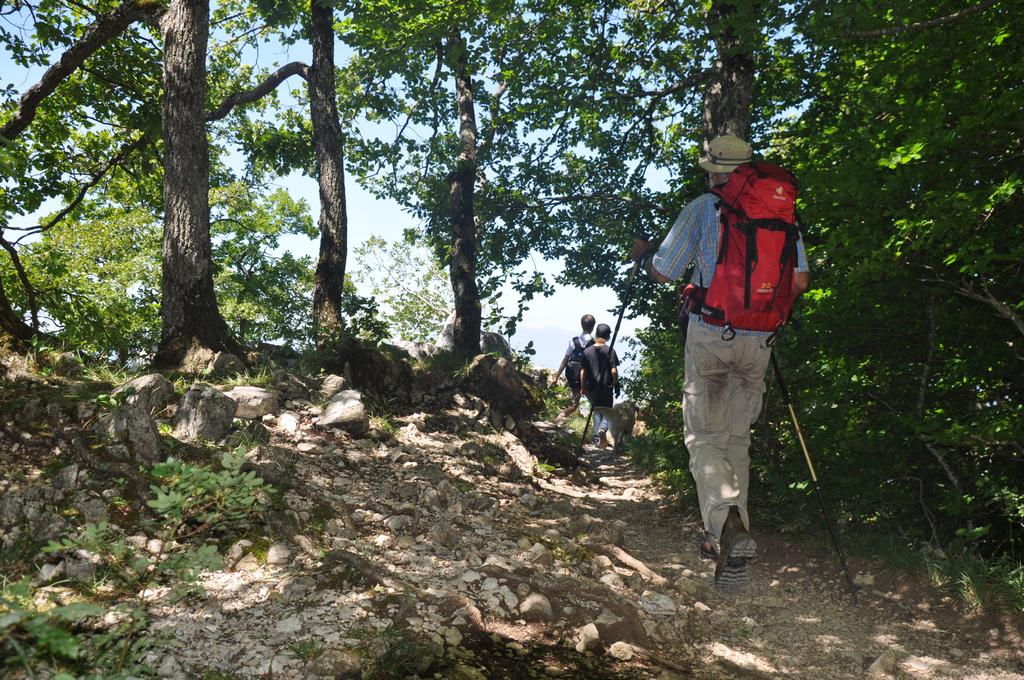 Clic pour l'image suivante