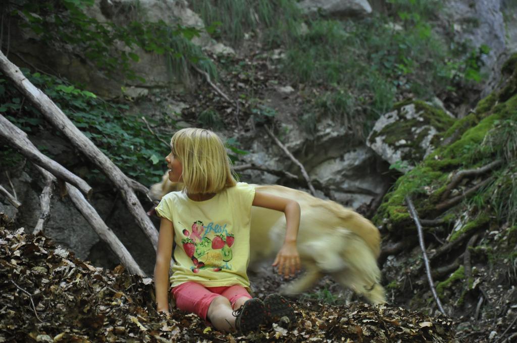 Clic pour l'image suivante