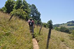 Clic pour agrandir l'image (1024x680 pixels; 172 KB)