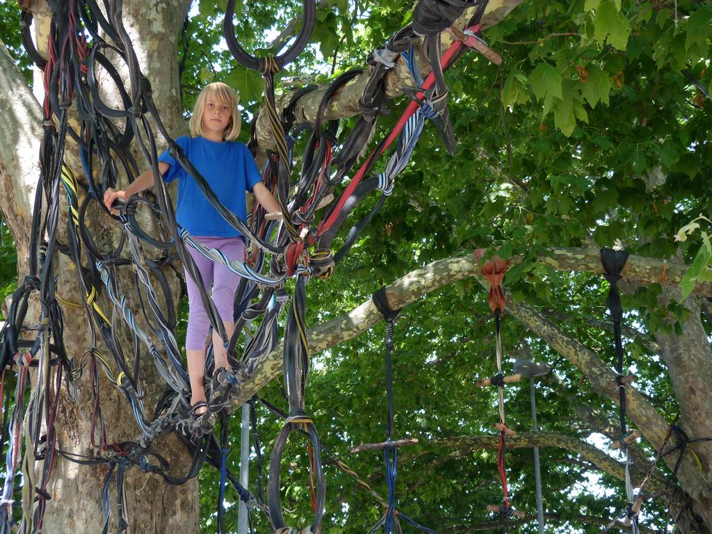 Clic pour l'image suivante