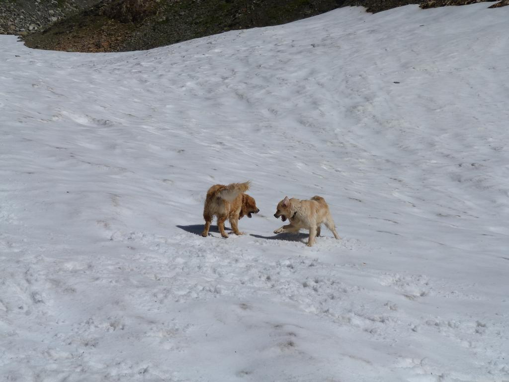 Clic pour l'image suivante