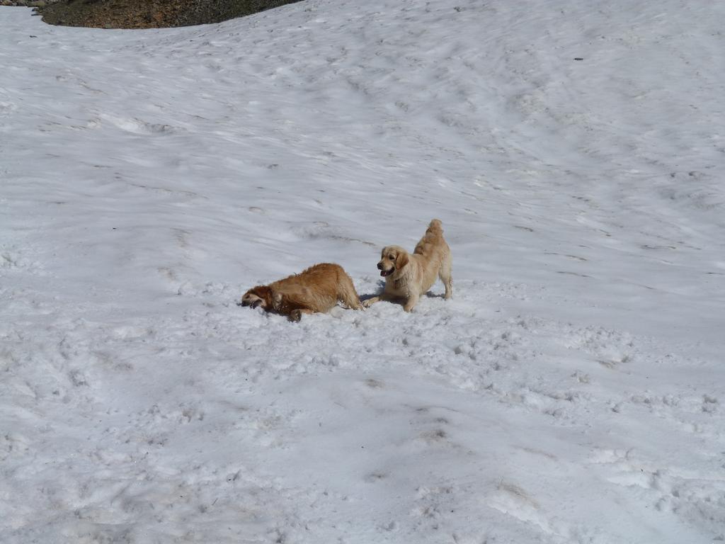 Clic pour l'image suivante