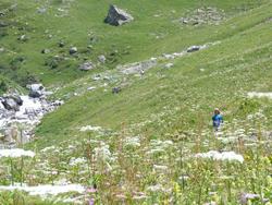 Clic pour agrandir l'image (1024x768 pixels; 211 KB)