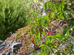 Clic pour agrandir l'image (1024x768 pixels; 237 KB)