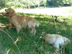 Clic pour agrandir l'image (1024x768 pixels; 171 KB)