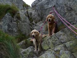 Clic pour agrandir l'image (1024x768 pixels; 183 KB)