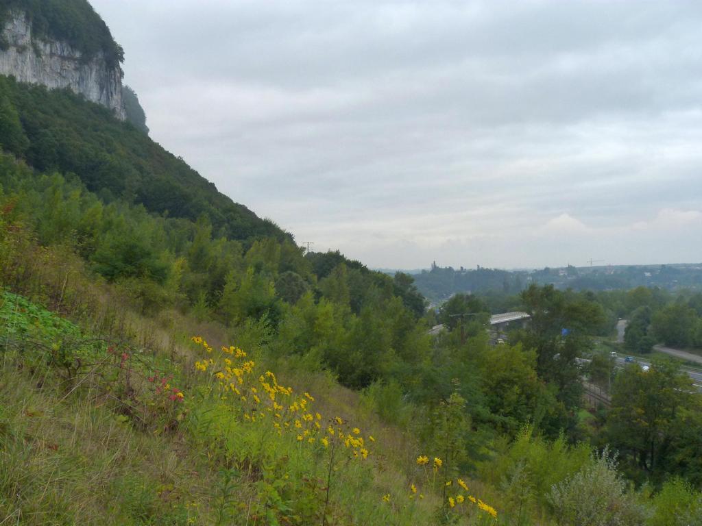 Clic pour l'image suivante