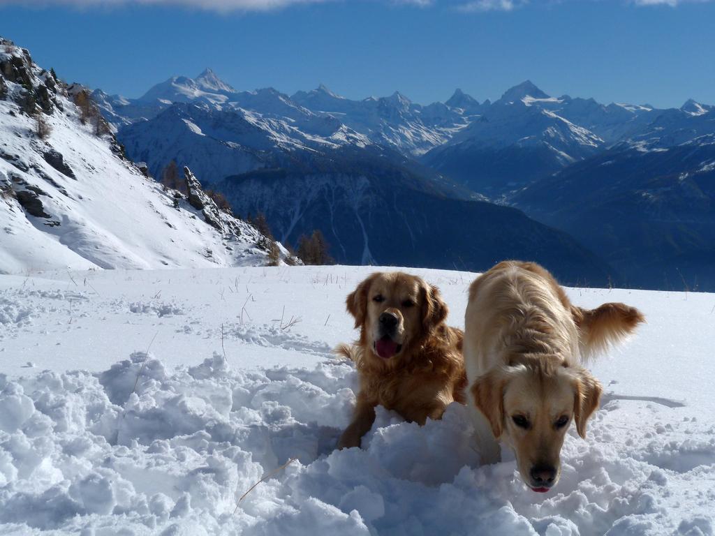 Clic pour l'image suivante