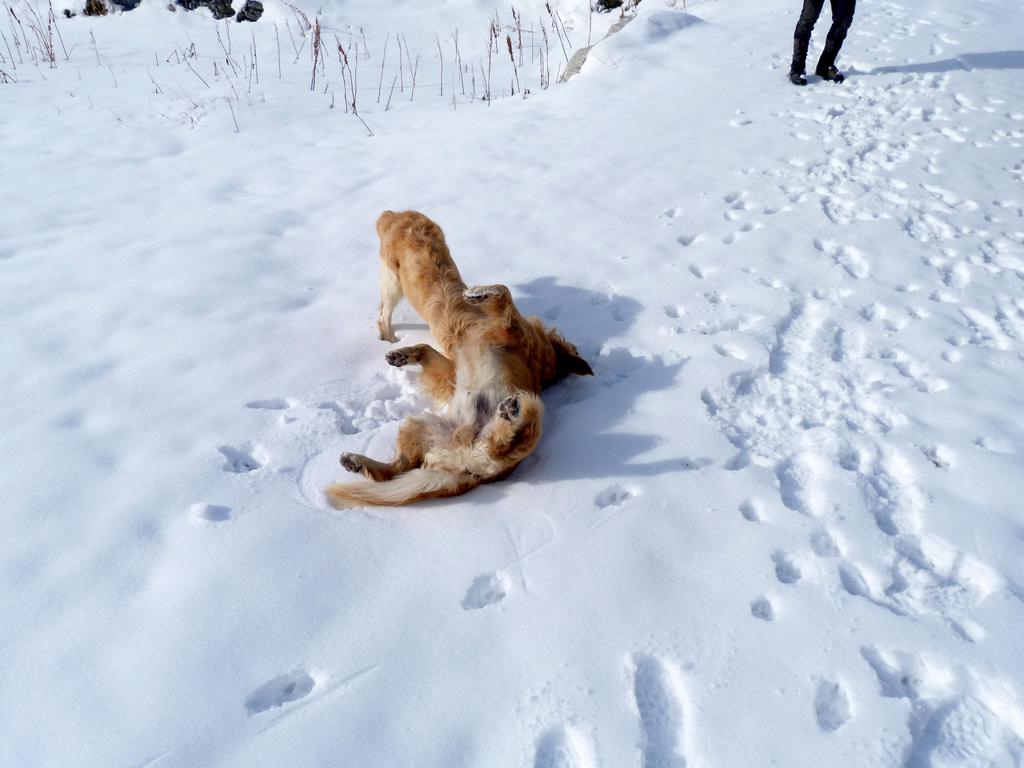 Clic pour l'image suivante