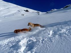 Clic pour agrandir l'image (1024x768 pixels; 102 KB)