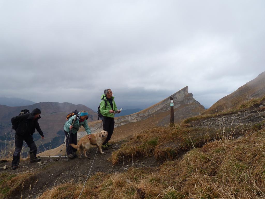 Clic pour l'image suivante