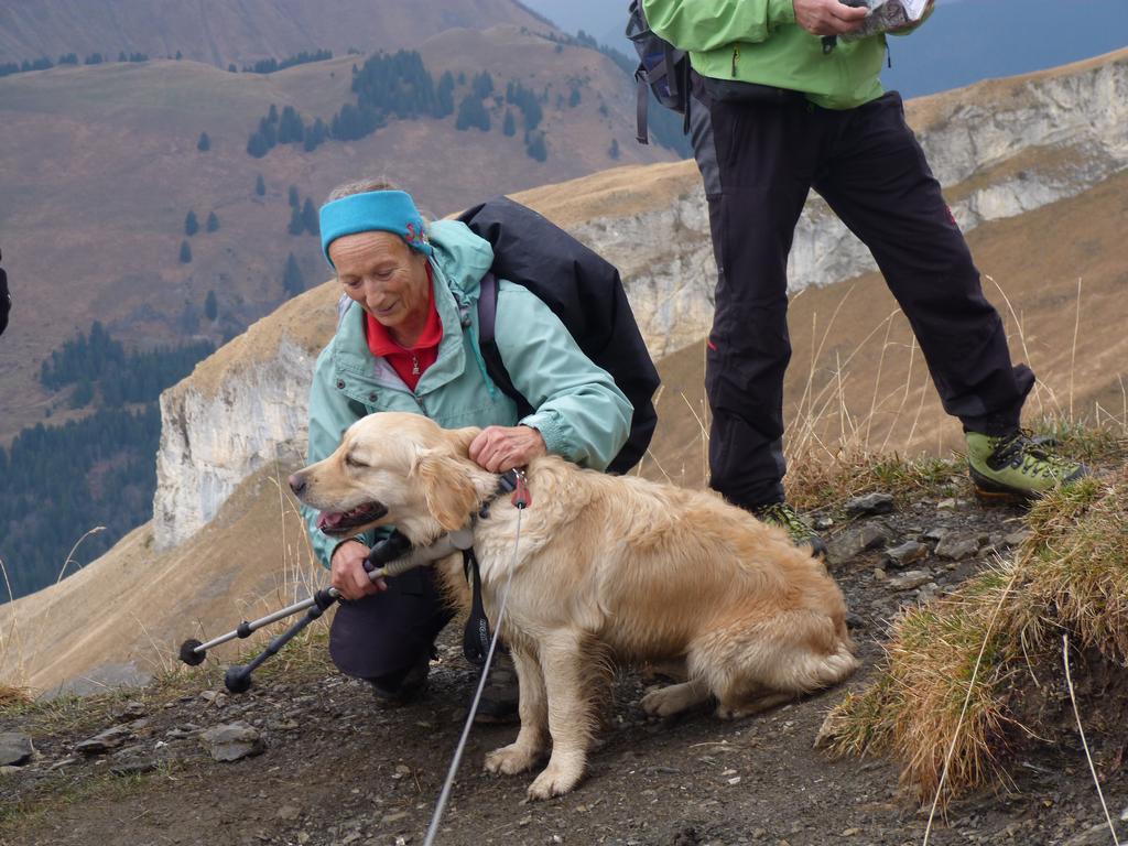 Clic pour l'image suivante