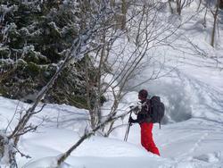 Clic pour agrandir l'image (1024x768 pixels; 169 KB)