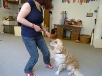 Clic pour agrandir l'image (1024x768 pixels; 103 KB)