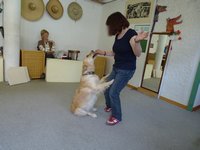 Clic pour agrandir l'image (1024x768 pixels; 93 KB)