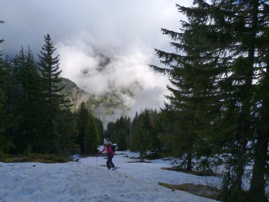 Clic pour l'image suivante