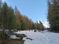 Clic pour agrandir l'image (1024x768 pixels; 128 KB)