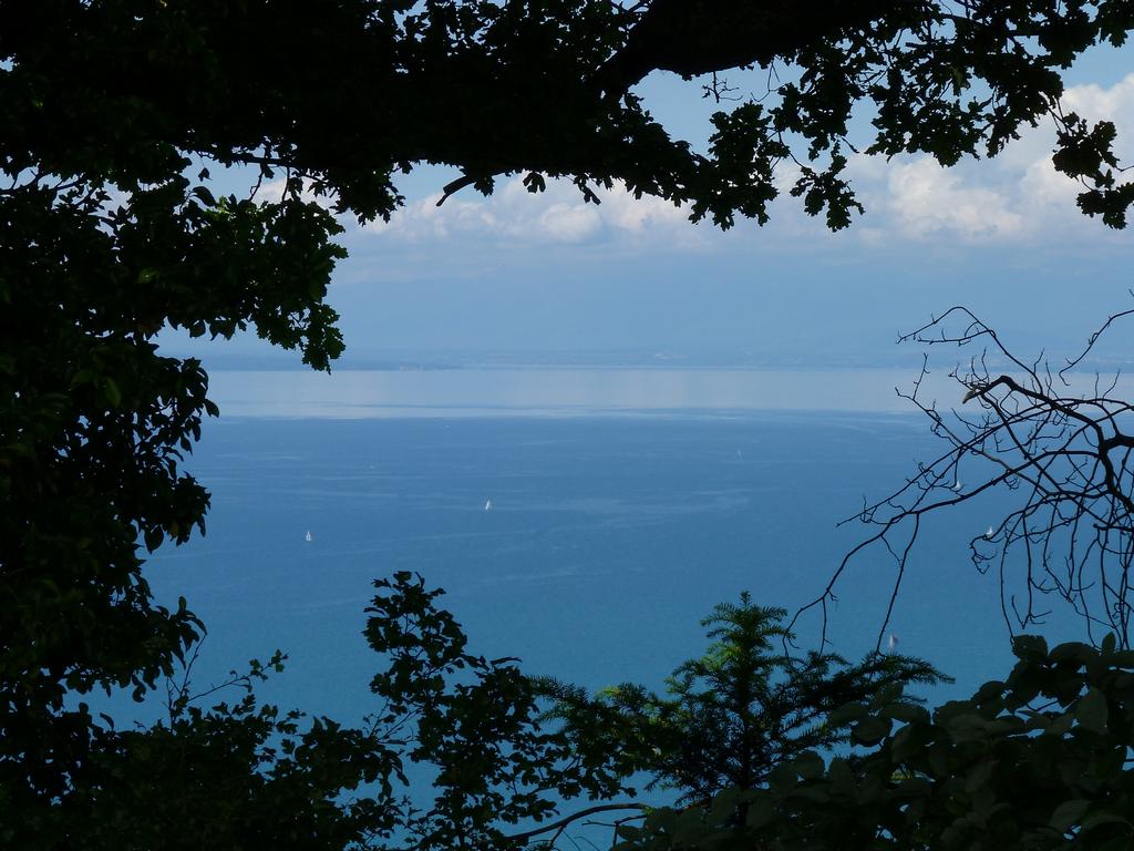 Clic pour l'image suivante