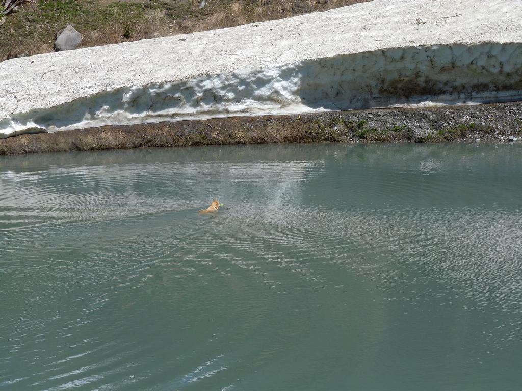 Clic pour l'image suivante