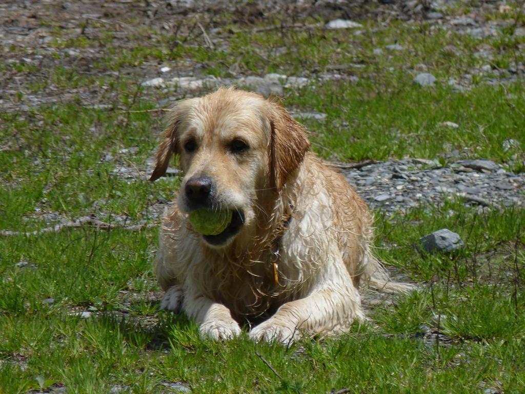 Clic pour l'image suivante