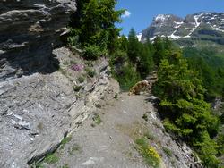 Clic pour agrandir l'image (1024x768 pixels; 225 KB)